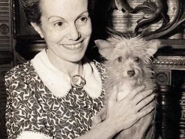 Figuras y Personajes